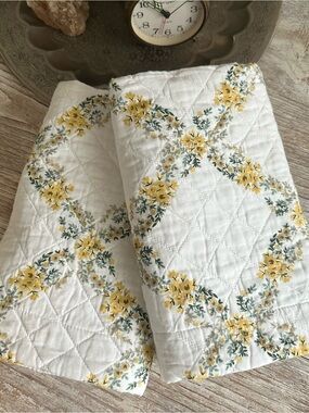 Laura Ashley Antoinette Shams Pair